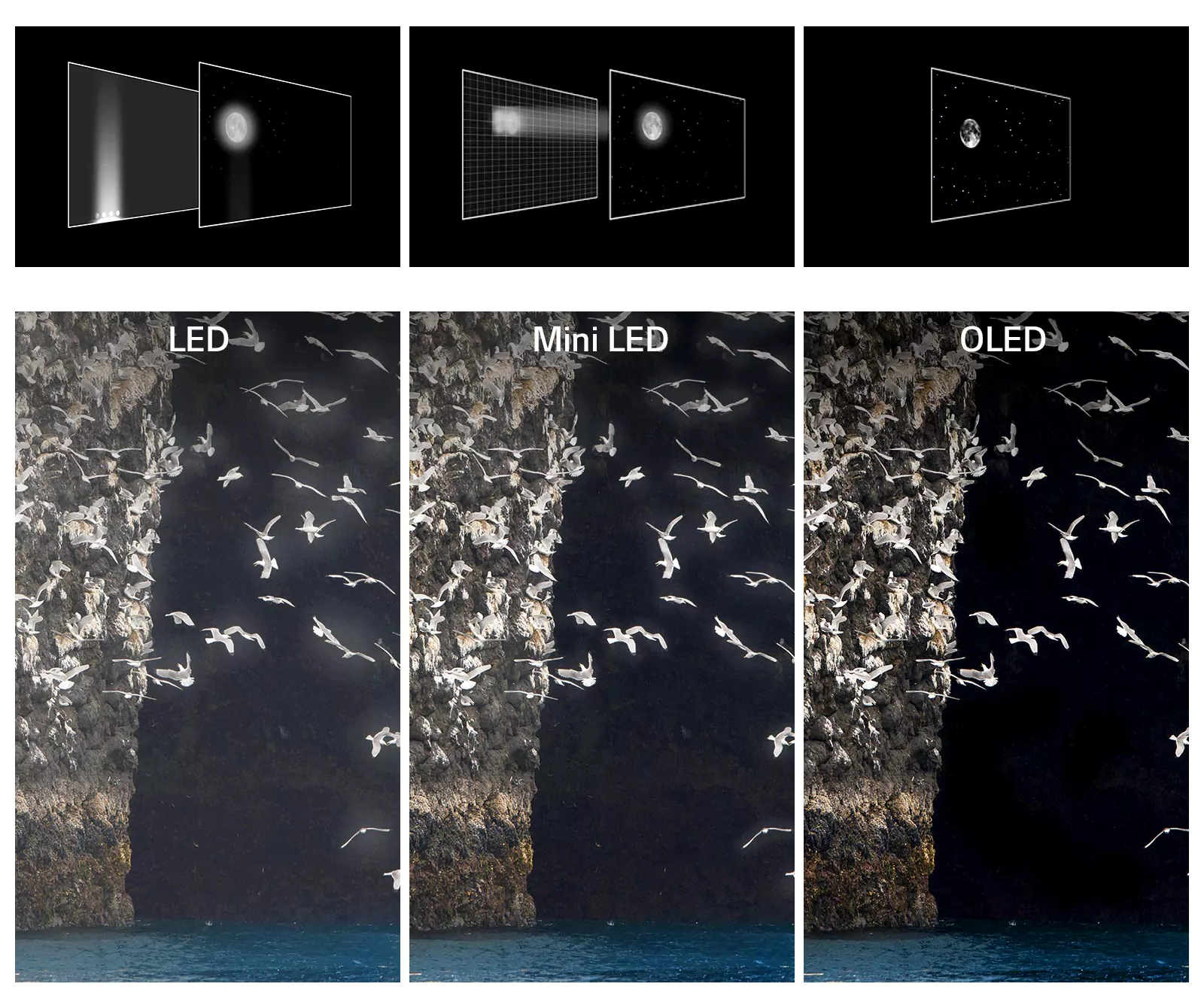  تاثیر فناوری صفحه نمایش بر کنتراست هر نوع نمایشگر - LCD، OLED و QLED